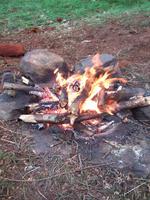 Survival photo