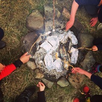 Backwoods Cooking :: Tree Climb Leap of Faith  photo