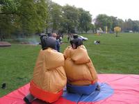 Sumo Wrestling photo