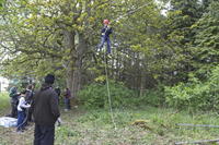 3G Swing photo
