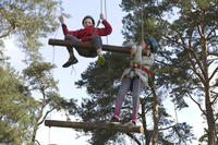 Jacobs Ladder photo