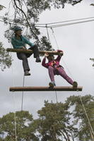 Jacobs Ladder photo