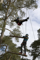 Jacobs Ladder photo