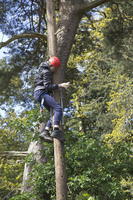 Peg Pole Climb photo