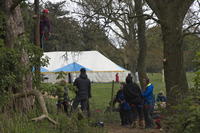 Peg Pole Climb photo