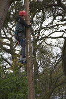 Peg Pole Climb photo