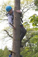 Peg Pole Climb photo