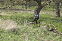 Tyrolean photo