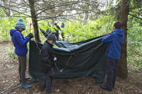 Bush Craft photo
