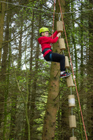 Heights Zones photo
