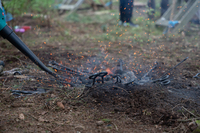 Bushcraft Zone photo