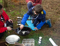 Bushcraft Zone photo