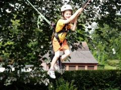 Tree Climb